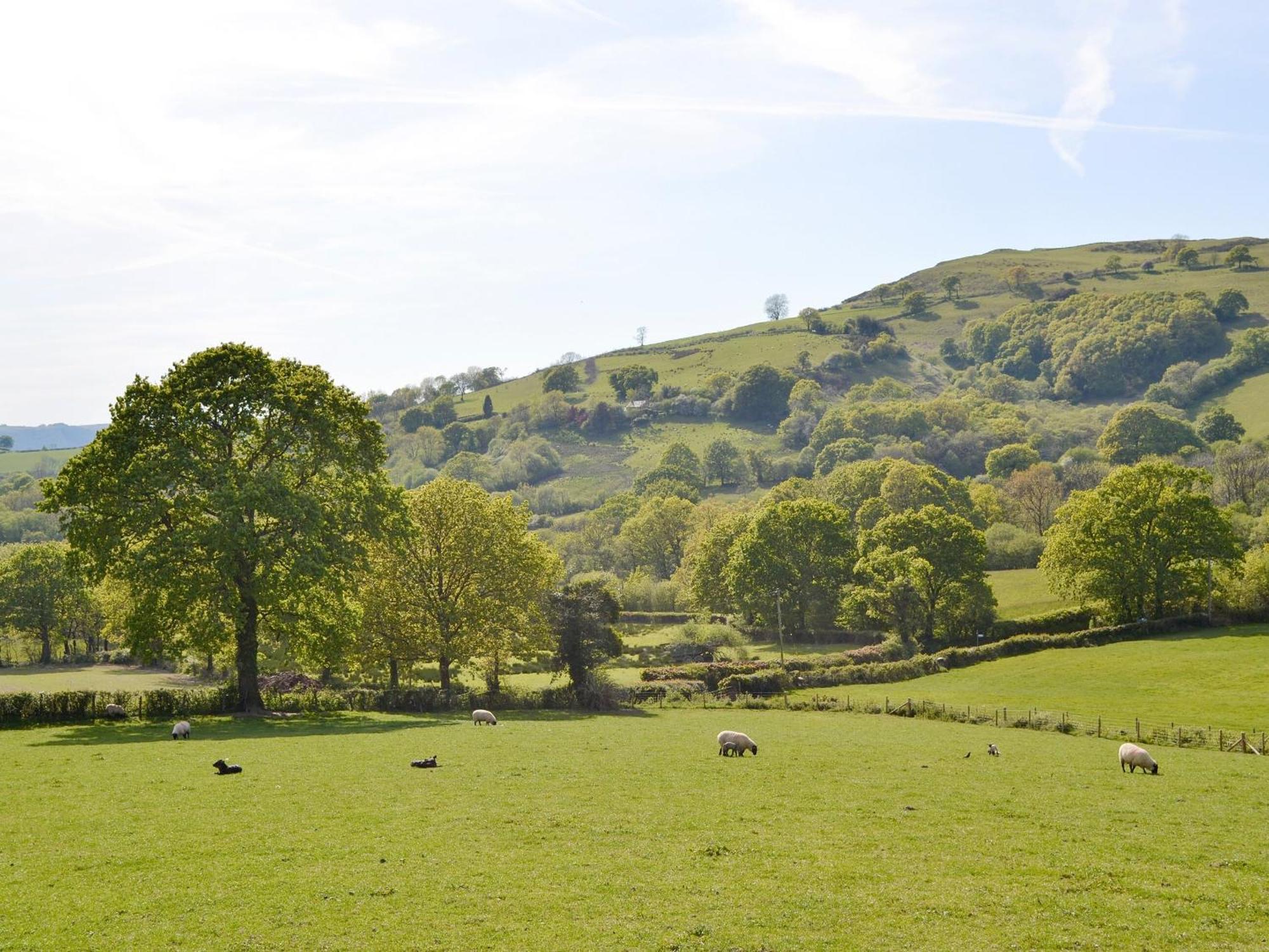 Maes Y Bryn Farmhouse Llanwrda Dış mekan fotoğraf